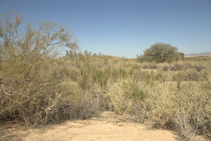 0.32 Acre Mohave Valley, Mohave County, AZ