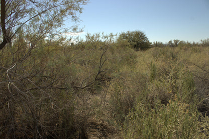 0.15 Acre Mohave Valley, Mohave County, AZ