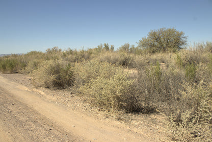 0.15 Acre Mohave Valley, Mohave County, AZ