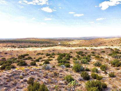 81.11 Acres Juniper Hills, Los Angeles County, CA (Paved Road)