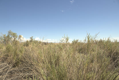 0.15 Acre Mohave Valley, Mohave County, AZ