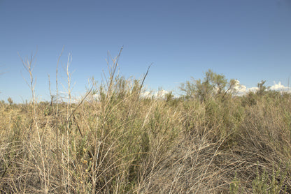 0.15 Acre Mohave Valley, Mohave County, AZ