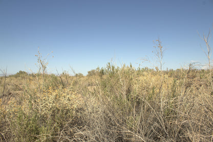 0.15 Acre Mohave Valley, Mohave County, AZ