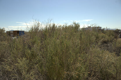 0.15 Acre Mohave Valley, Mohave County, AZ