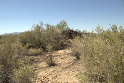 0.15 Acre Mohave Valley, Mohave County, AZ