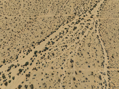 5 Acres Joshua Tree, San Bernardino County, CA