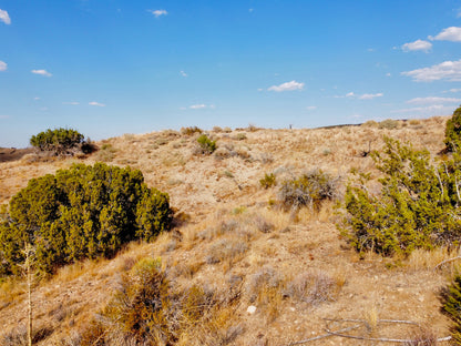 81.11 Acres Juniper Hills, Los Angeles County, CA (Paved Road)