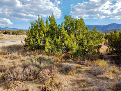 81.11 Acres Juniper Hills, Los Angeles County, CA (Paved Road)