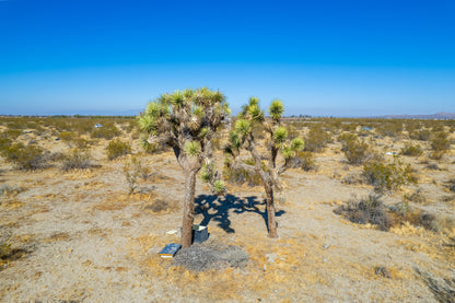 7.50 Acres Pearblossom, Los Angeles County, CA