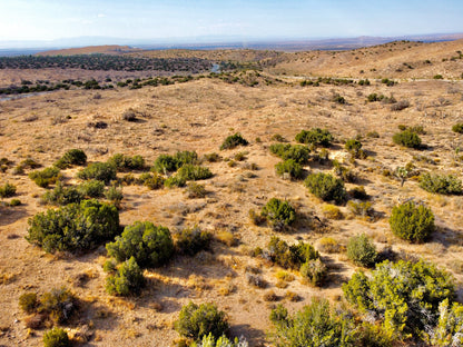 81.11 Acres Juniper Hills, Los Angeles County, CA (Paved Road)