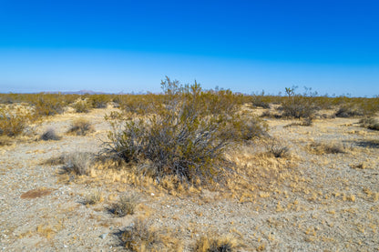 7.50 Acres Pearblossom, Los Angeles County, CA