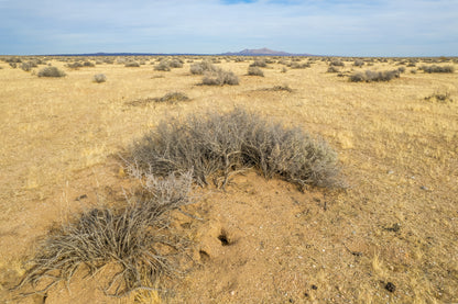 20.33 Acres California City, Kern County, CA