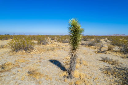 7.50 Acres Pearblossom, Los Angeles County, CA