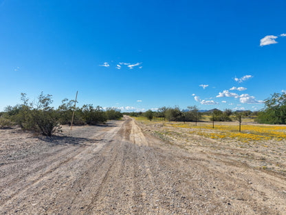 1.25 Acres Tonopah, Maricopa County, AZ (Power)