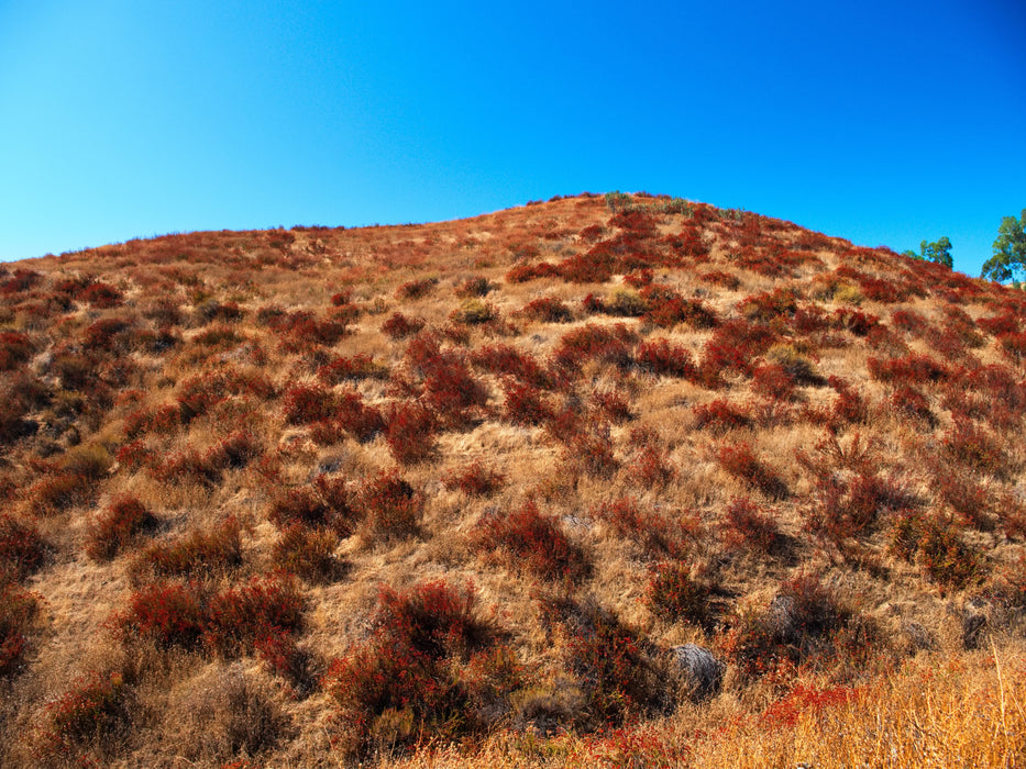 0.21 Acre Lake Elsinore, Riverside County, CA