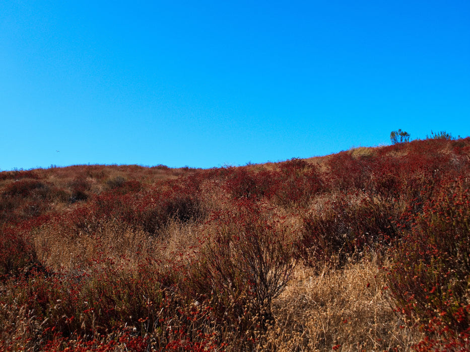 0.21 Acre Lake Elsinore, Riverside County, CA