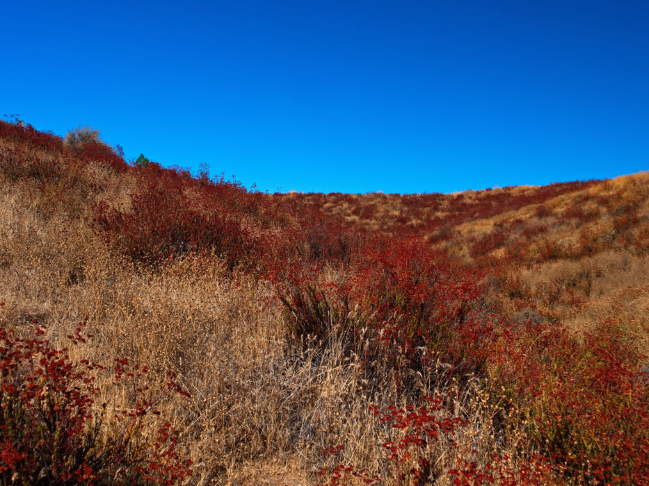 0.21 Acre Lake Elsinore, Riverside County, CA