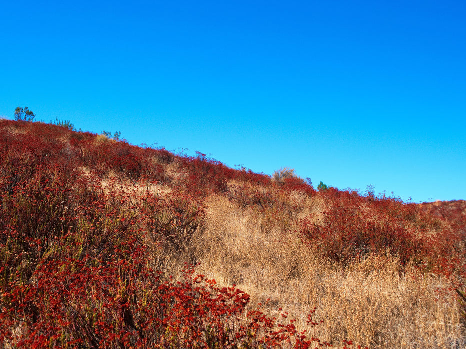 0.21 Acre Lake Elsinore, Riverside County, CA