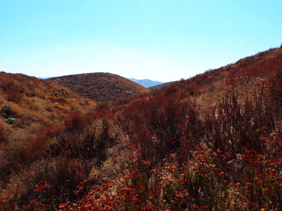 0.21 Acre Lake Elsinore, Riverside County, CA