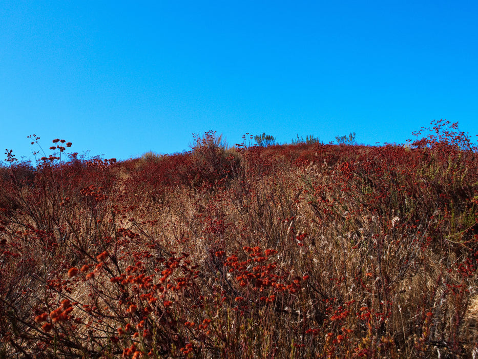 0.21 Acre Lake Elsinore, Riverside County, CA