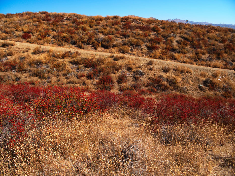 0.21 Acre Lake Elsinore, Riverside County, CA