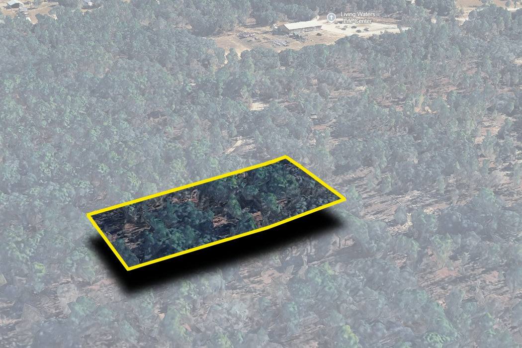 1.25 Acres Morriston, Levy County, FL