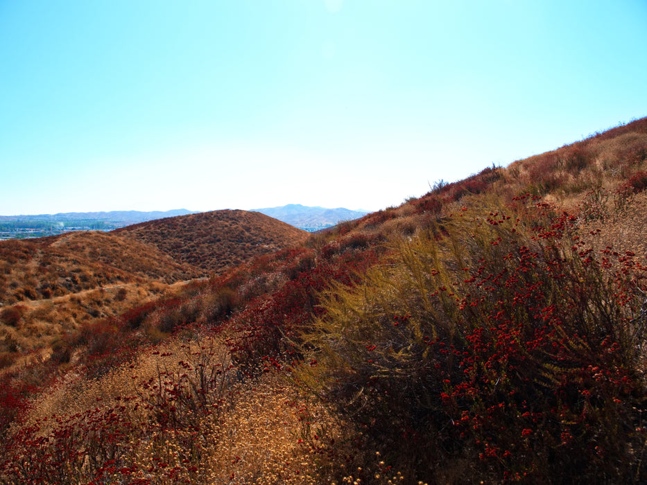 0.21 Acre Lake Elsinore, Riverside County, CA