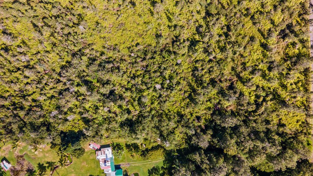 3 Acres Kurtistown, Hawaii County, HI (Power)