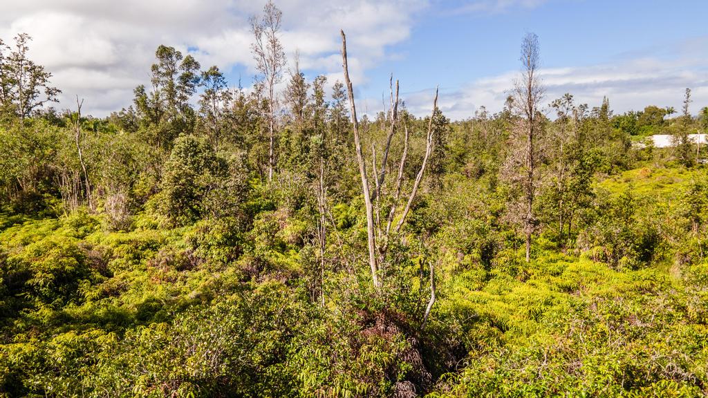 3 Acres Kurtistown, Hawaii County, HI (Power)