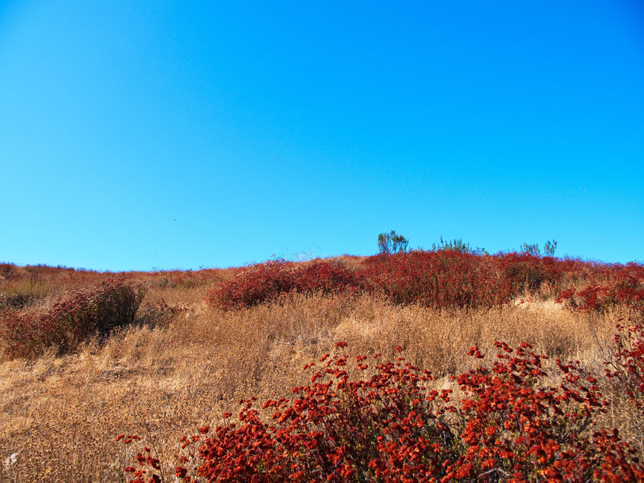 0.21 Acre Lake Elsinore, Riverside County, CA