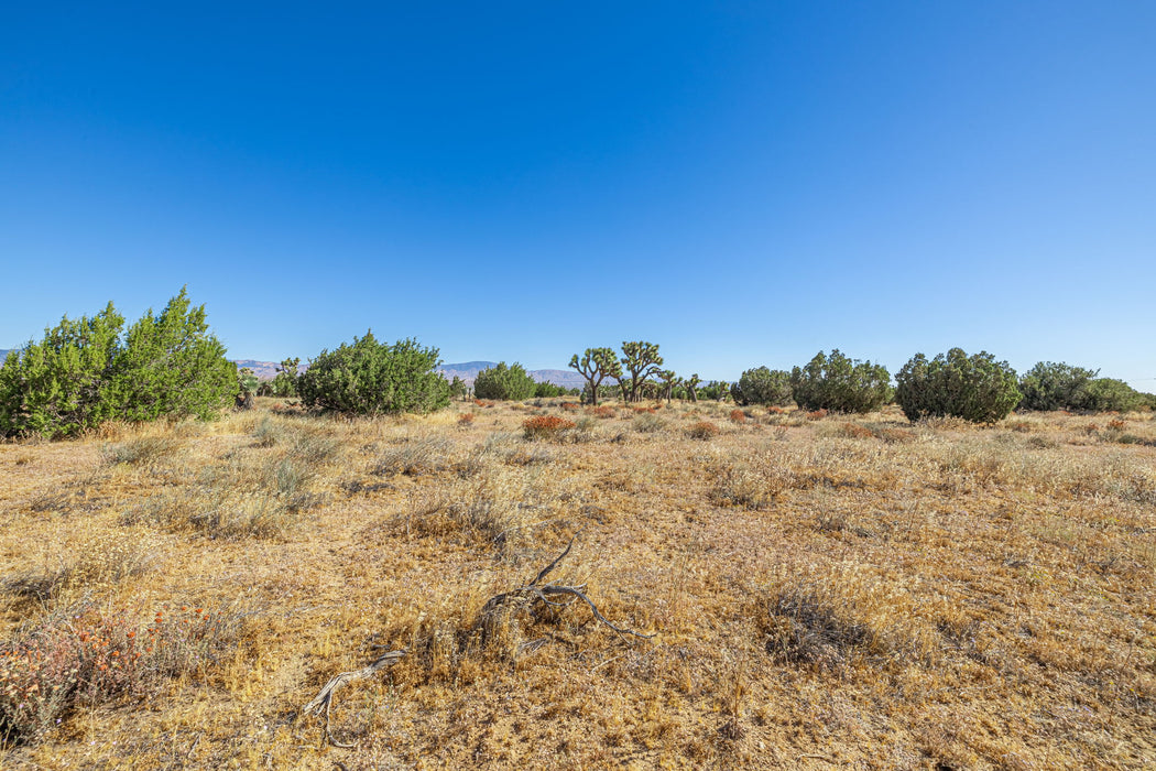 36.04 Acres Lancaster, Los Angeles County, CA