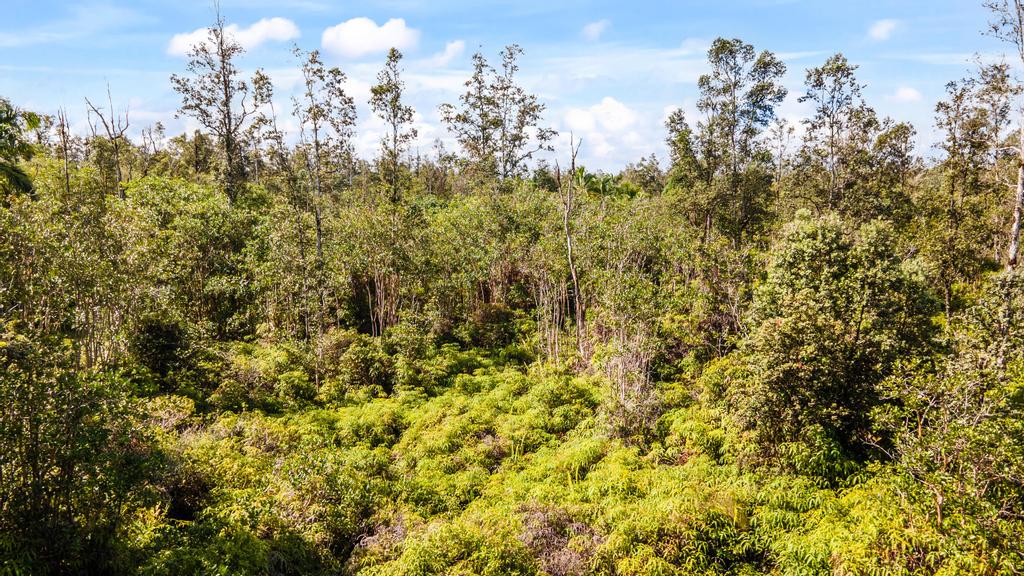 3 Acres Kurtistown, Hawaii County, HI (Power)