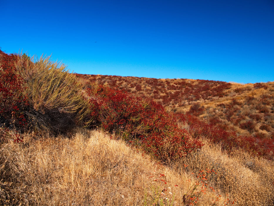 0.21 Acre Lake Elsinore, Riverside County, CA