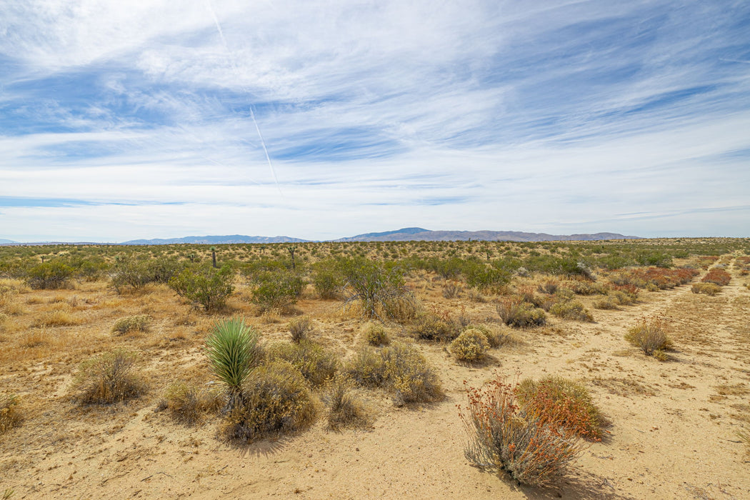 15 Acres Rosamond, Kern County, CA