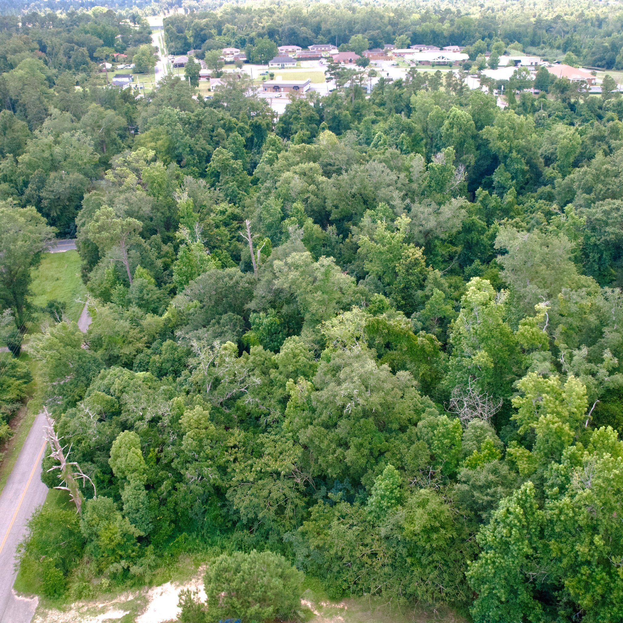 0.51 Acre Marianna, Jackson County, FL (Power, Water, & Paved Road)
