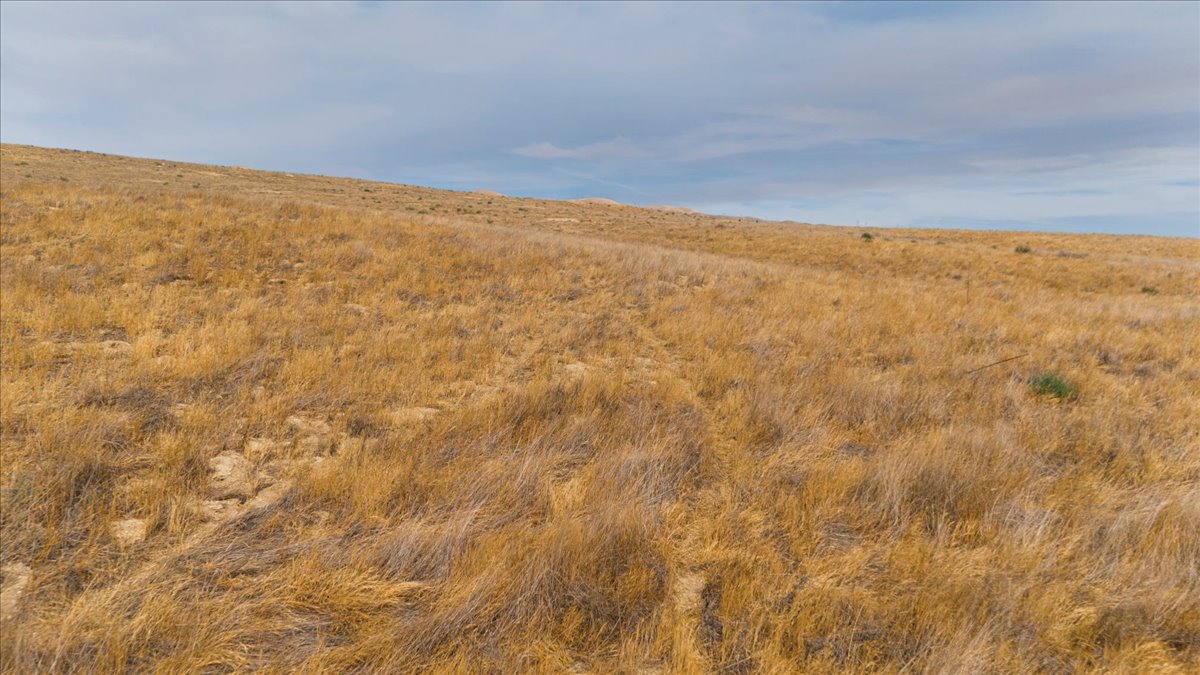 7.42 Acres Santa Margarita, San Luis Obispo County, CA