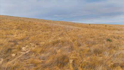 7.42 Acres Santa Margarita, San Luis Obispo County, CA