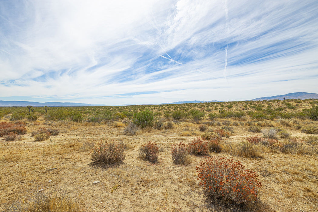 15 Acres Rosamond, Kern County, CA