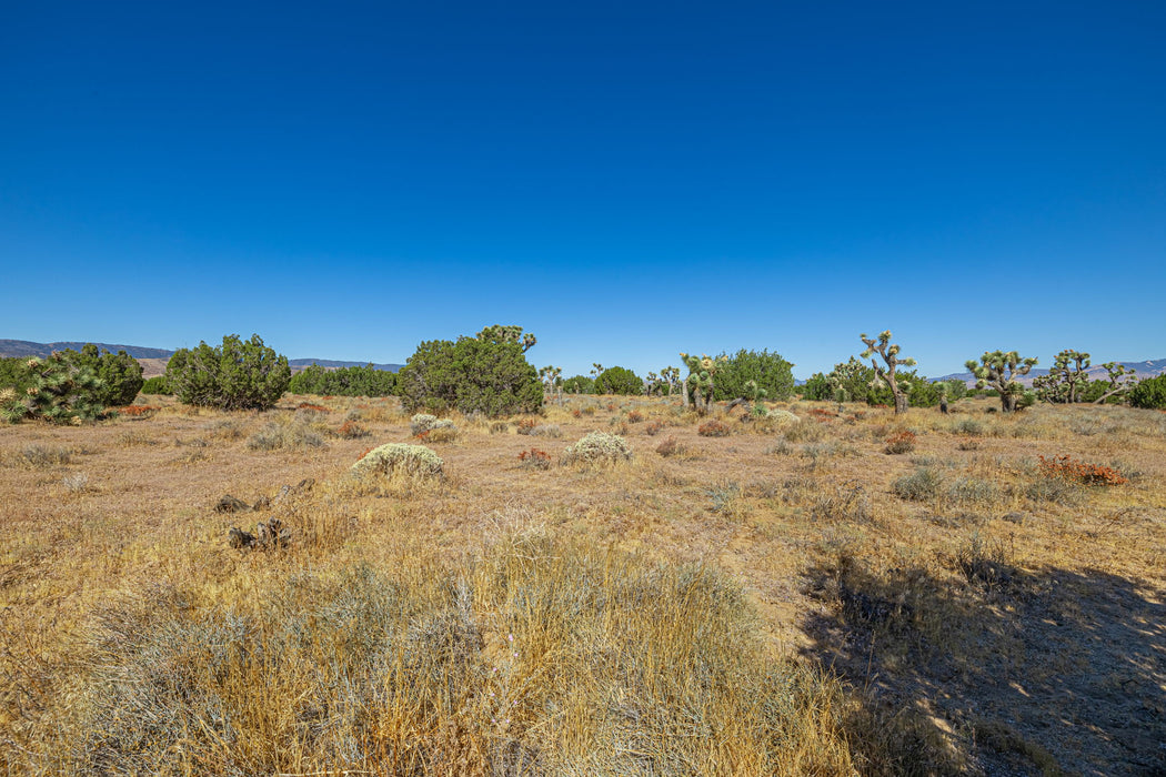 36.04 Acres Lancaster, Los Angeles County, CA