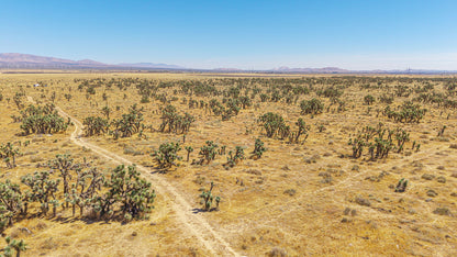 39.24 Acres Lancaster, Los Angeles County, CA
