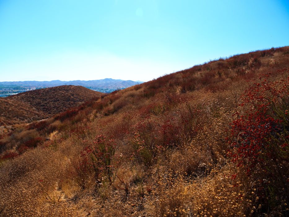 0.21 Acre Lake Elsinore, Riverside County, CA