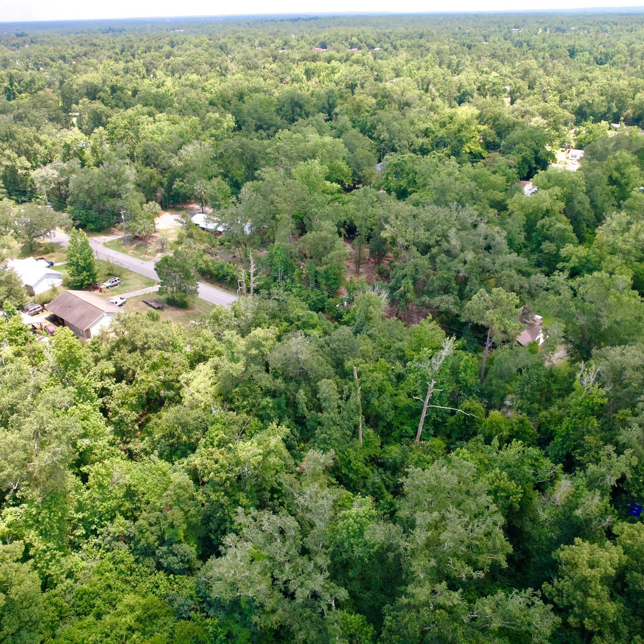 0.51 Acre Marianna, Jackson County, FL (Power, Water, & Paved Road)