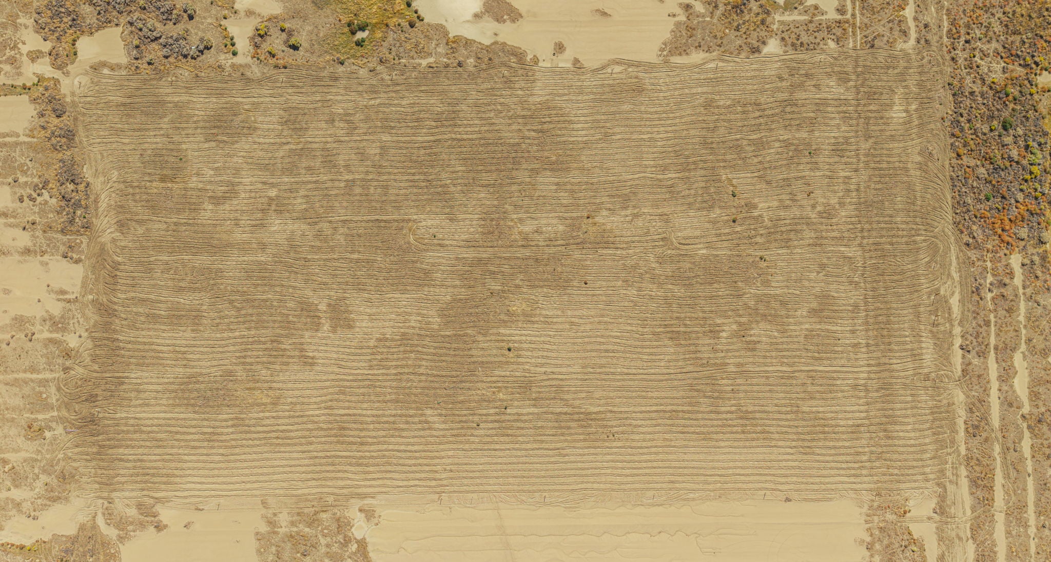 5 Acres Rosamond, Kern County, CA