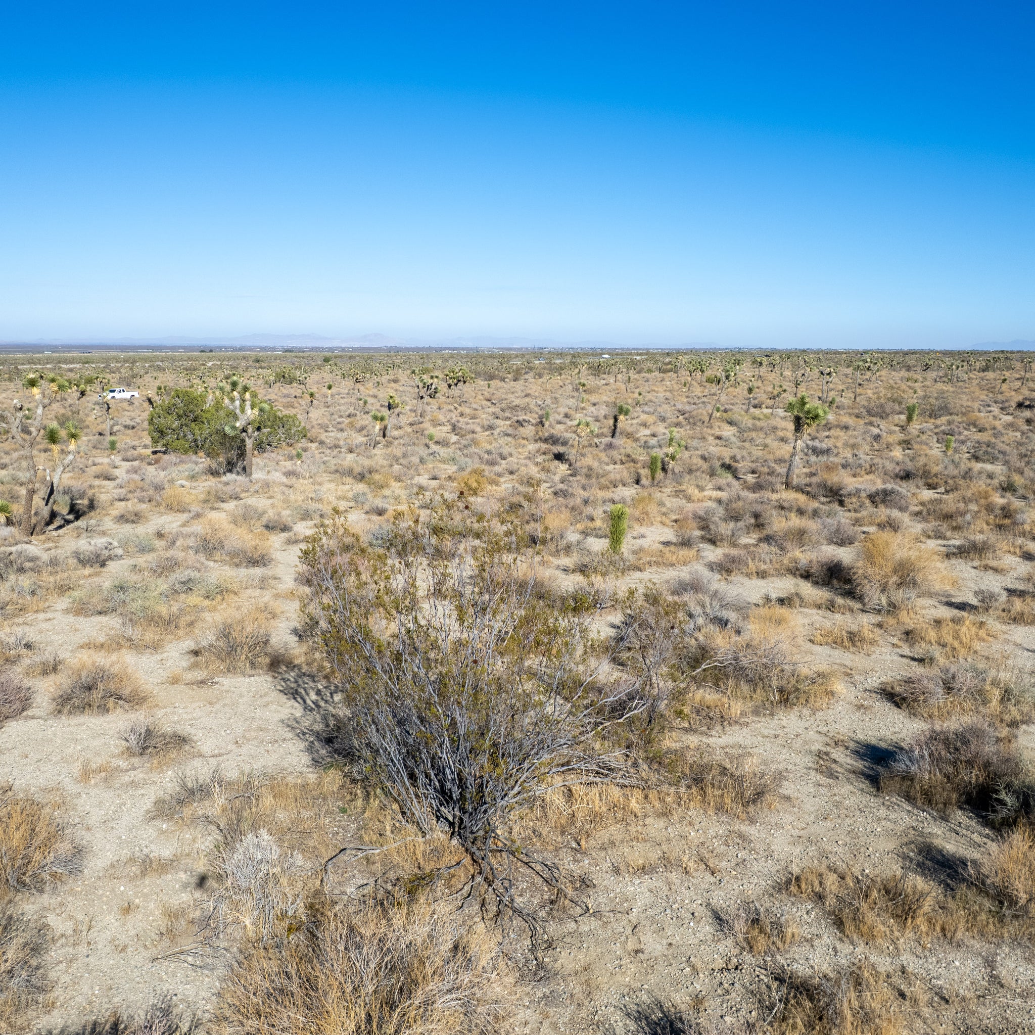 10 Acres Llano, Los Angeles County, CA