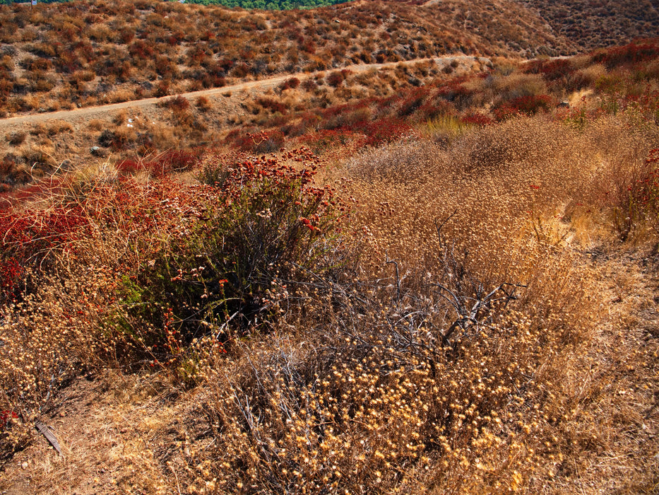 0.21 Acre Lake Elsinore, Riverside County, CA