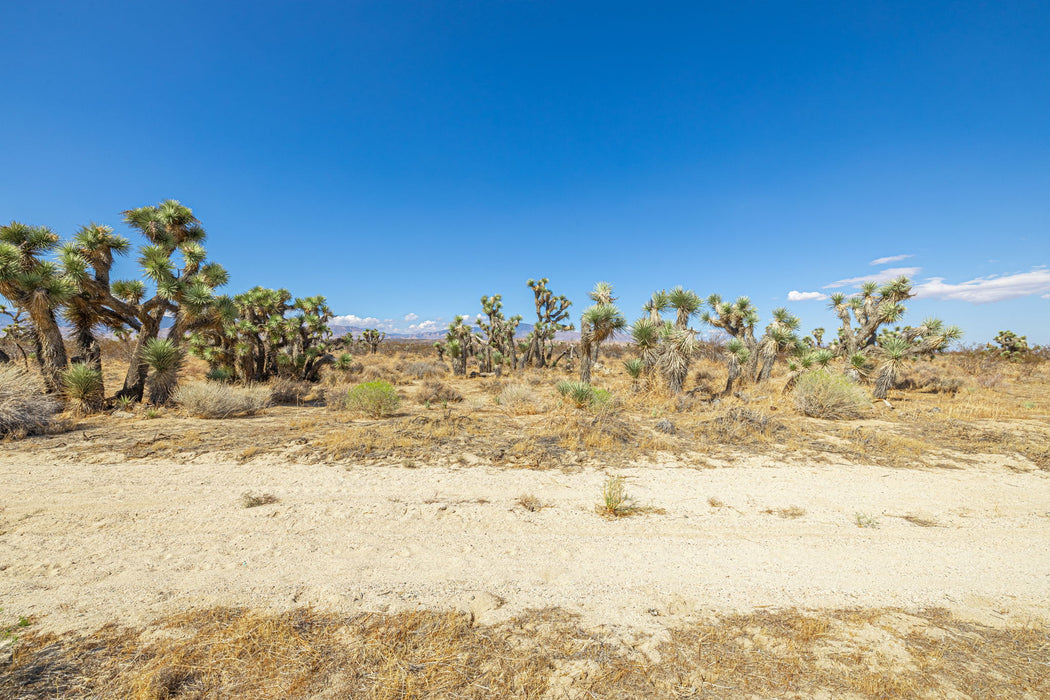 10 Acres Rosamond, Kern County, CA