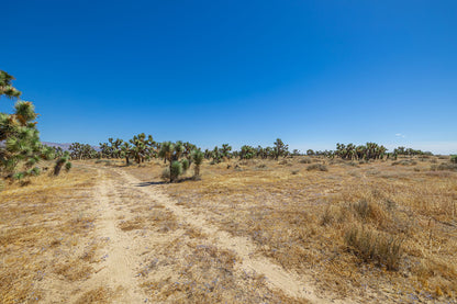 39.24 Acres Lancaster, Los Angeles County, CA