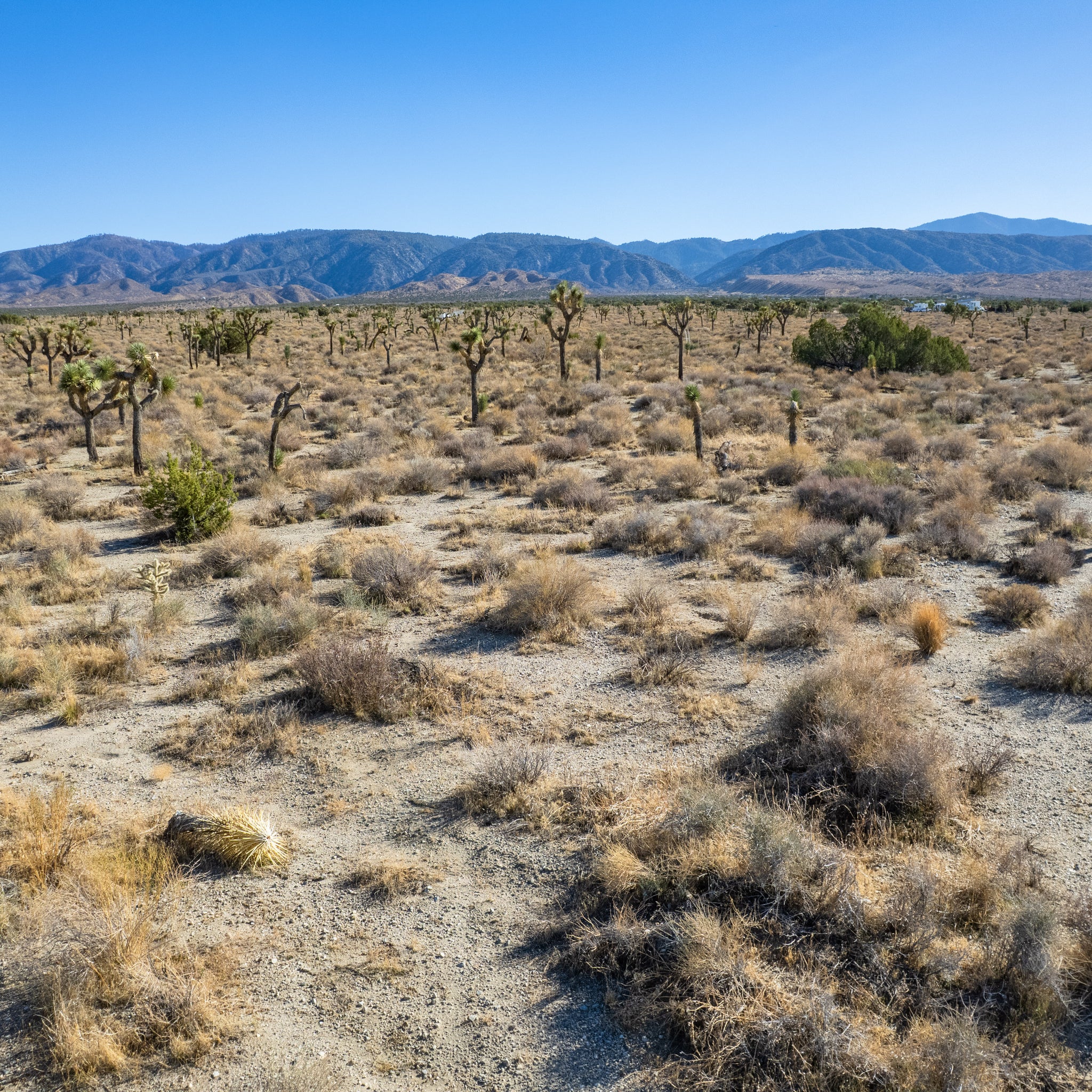 10 Acres Llano, Los Angeles County, CA