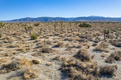 10 Acres Llano, Los Angeles County, CA