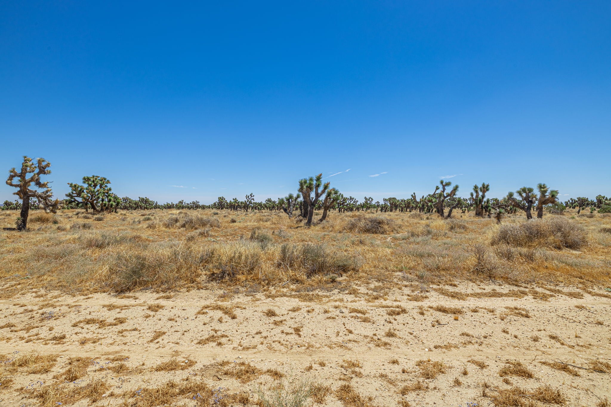 39.24 Acres Lancaster, Los Angeles County, CA